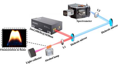 Free-radical fluorescence emissions induced by 1,030 nm femtosecond laser filamentation in ethanol flame